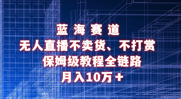 无人直播不卖货、不打赏保姆级教程全链路 月入10万＋-品小先项目发源地-品小先-项目发源地