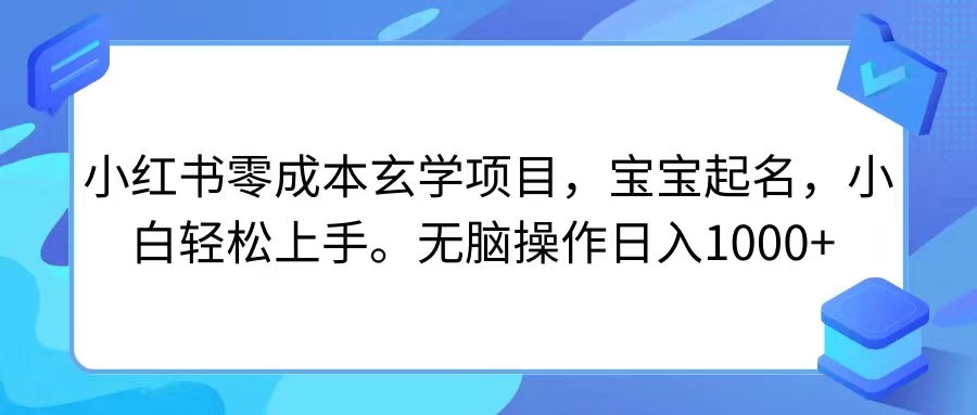 小红书零成本玄学项目，宝宝起名，小白轻松上手，无脑操作日入1000+-品小先项目发源地-品小先-项目发源地