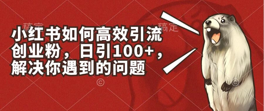 小红书如何高效引流创业粉，日引100+，解决你遇到的问题-YISHEN技巧分享